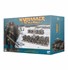 Picture of Chaos Warriors Warriors Of Chaos The Old World