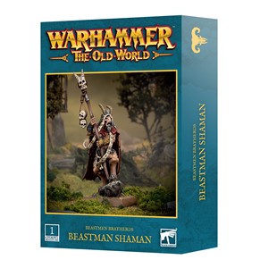 Picture of Beastman Shaman Beastmen Brayherds Warhammer The Old World