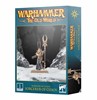Picture of Sorcerer Of Chaos Warriors Of Chaos The Old World