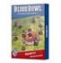 Picture of Blood Bowl Elven Union Pitch & Dugouts