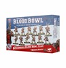 Picture of Bretonnian Team The Brionne Barons Blood Bowl
