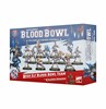 Picture of High Elf Blood Bowl Team
