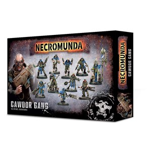 Picture of Cawdor Gang Necromunda