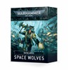 Picture of Datacards Space Wolves