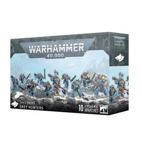 Picture of Grey Hunters Space Wolves Warhammer 40K