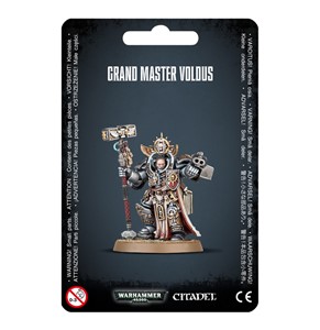 Picture of Grand Master Voldus