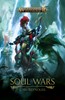 Picture of Soul Wars Novel