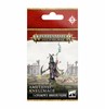 Picture of Amethyst Knellmage Cities of Sigmar Warhammer Age of Sigmar