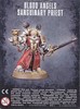 Picture of BLOOD ANGELS SANGUINARY PRIEST - Direct From Supplier*. - Direct From Supplier*.