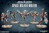 Picture of SPACE WOLVES WULFEN - Direct From Supplier*. - Direct From Supplier*.