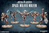 Picture of SPACE WOLVES WULFEN - Direct From Supplier*.