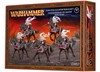 Picture of Daughters of Khaine Doomfire Warlocks - Direct From Supplier*.