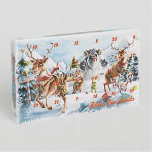 Picture of Q Workshop Advent Dice Calendar No.03 2022