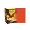 Picture of Dragon Shield Dual Matte Ember Standard (100 Sleeves)
