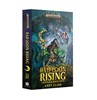 Picture of Bad Loon Rising Paperback Book Age Of Sigmar Warhammer