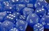 Picture of Chessex Frosted™ 12mm d6 Blue/white Dice Block™