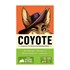 Picture of Coyote