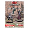 Picture of Neverwinter Valindra Shadowmantle & Wight