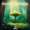 Picture of Photosynthesis