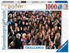Picture of Challenge: Harry Potter (Jigsaw Puzzle 1000pc)
