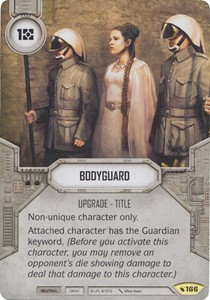 Picture of Bodyguard