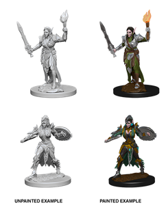 Picture of Elf Female Fighter Pathfinder Deep Cuts Unpainted Miniatures