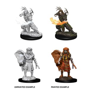 Picture of Male Human Druid D&D Nolzur's Marvelous Unpainted Miniatures