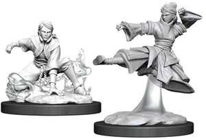 Picture of Female Human Monk: D&D Nolzur's Marvelous Unpainted Miniatures (W11)