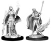 Picture of Female Human Oracle: Pathfinder Battles Deep Cuts Unpainted Miniatures (W11)