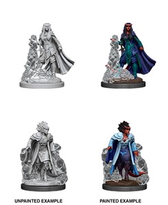 Picture of Female Tiefling Sorcerer D&D Nolzur's Marvelous Unpainted Miniatures (W12)