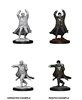 Picture of Revenant D&D Nolzur's Marvelous Unpainted Miniatures (W12)