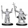 Picture of Human Wizard Male - D&D Nolzur's Marvelous Unpainted Miniatures