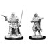 Picture of Human Rogue Male Pathfinder Battles Deepcuts Unpainted Miniatures (W13)