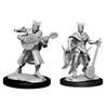 Picture of Tiefling Bard Female D&D Nolzur's Marvelous Unpainted Miniatures (W14)