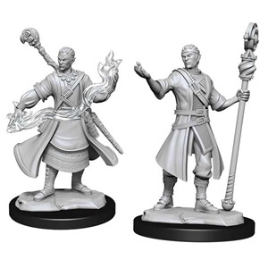 Picture of Half-Elf Wizard Male D&D Nolzur's Marvelous Unpainted Miniatures (W14)