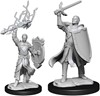 Picture of Half-Elf Paladin Male D&D Nolzur's Marvelous Unpainted Miniatures (W14)