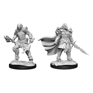 Picture of Dragonborn Fighter Female D&D Nolzur's Marvelous Unpainted Miniatures (W15)