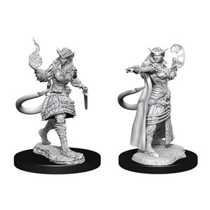 Picture of 2 x Tiefling Sorcer D&D Nolzur's Marvelous Unpainted Miniatures (W15)