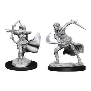 Picture of Air Genasi Female D&D Nolzur's Marvelous Unpainted Miniatures (W15)