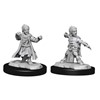 Picture of Halfing Monk Male Pathfinder Battles Deepcuts Unpainted Miniatures (W15)