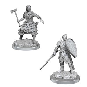 Picture of Human Fighters - D&D Nolzur's Marvelous Miniatures (W21)