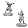 Picture of Half-Elf Monk Female - Pathfinder Deep Cuts Unpainted Miniatures (W21)