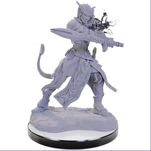 Picture of Tiefling Warlocks - D&D Nolzur's Marvelous Unpainted Miniatures (W22)