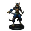 Picture of D&D Icons of the Realms Premium Figures (W3) Female Tabaxi Rogue