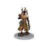 Picture of D&D Icons of the Realms Premium Figures (W7) Female Human Druid